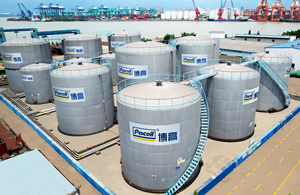 【喜报】博高工业油母公司--叶氏化工ESG报告荣膺国际铂金奖！